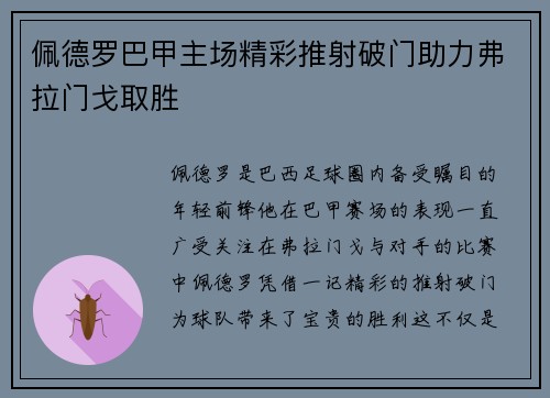 佩德罗巴甲主场精彩推射破门助力弗拉门戈取胜